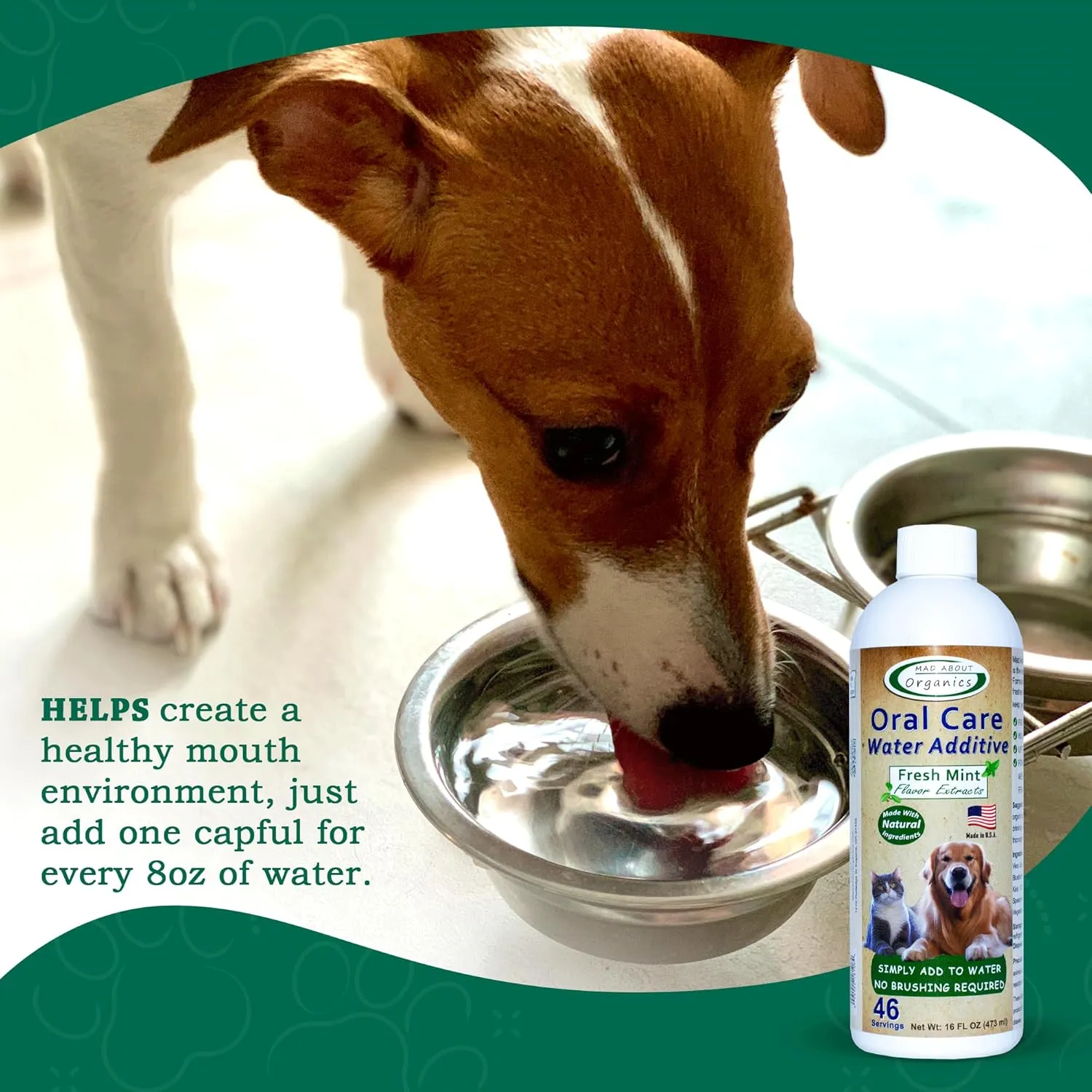 Oral Care Water Additive for Cats & Dogs  Gentle Dental Support  Reduces Breath Odors, Promotes Gum Health  No Brushing  Convenient for Daily Use, Fresh Mint Flavor, 16 FL oz