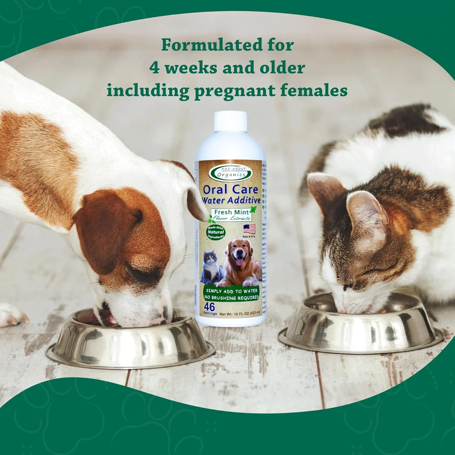 Oral Care Water Additive for Cats & Dogs  Gentle Dental Support  Reduces Breath Odors, Promotes Gum Health  No Brushing  Convenient for Daily Use, Fresh Mint Flavor, 16 FL oz