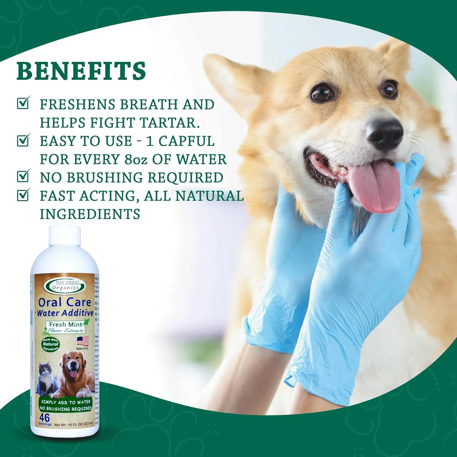 Oral Care Water Additive for Cats & Dogs  Gentle Dental Support  Reduces Breath Odors, Promotes Gum Health  No Brushing  Convenient for Daily Use, Fresh Mint Flavor, 16 FL oz