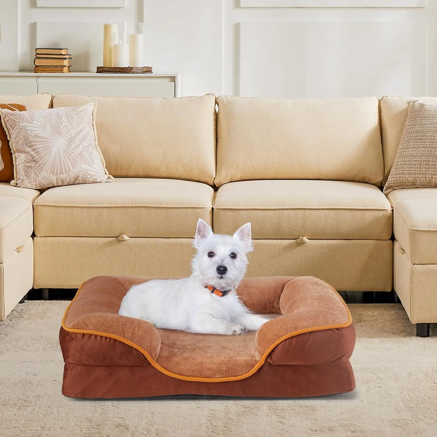 Orthopedic Dog Bed for Medium Dogs, Waterproof Memory Foam Pet Beds with Sides, Washable Removable Cover, Non-Slip Base, Egg Crate Foam Couch for Improved Sleep, 28" L x 23" W x 6.5" Th