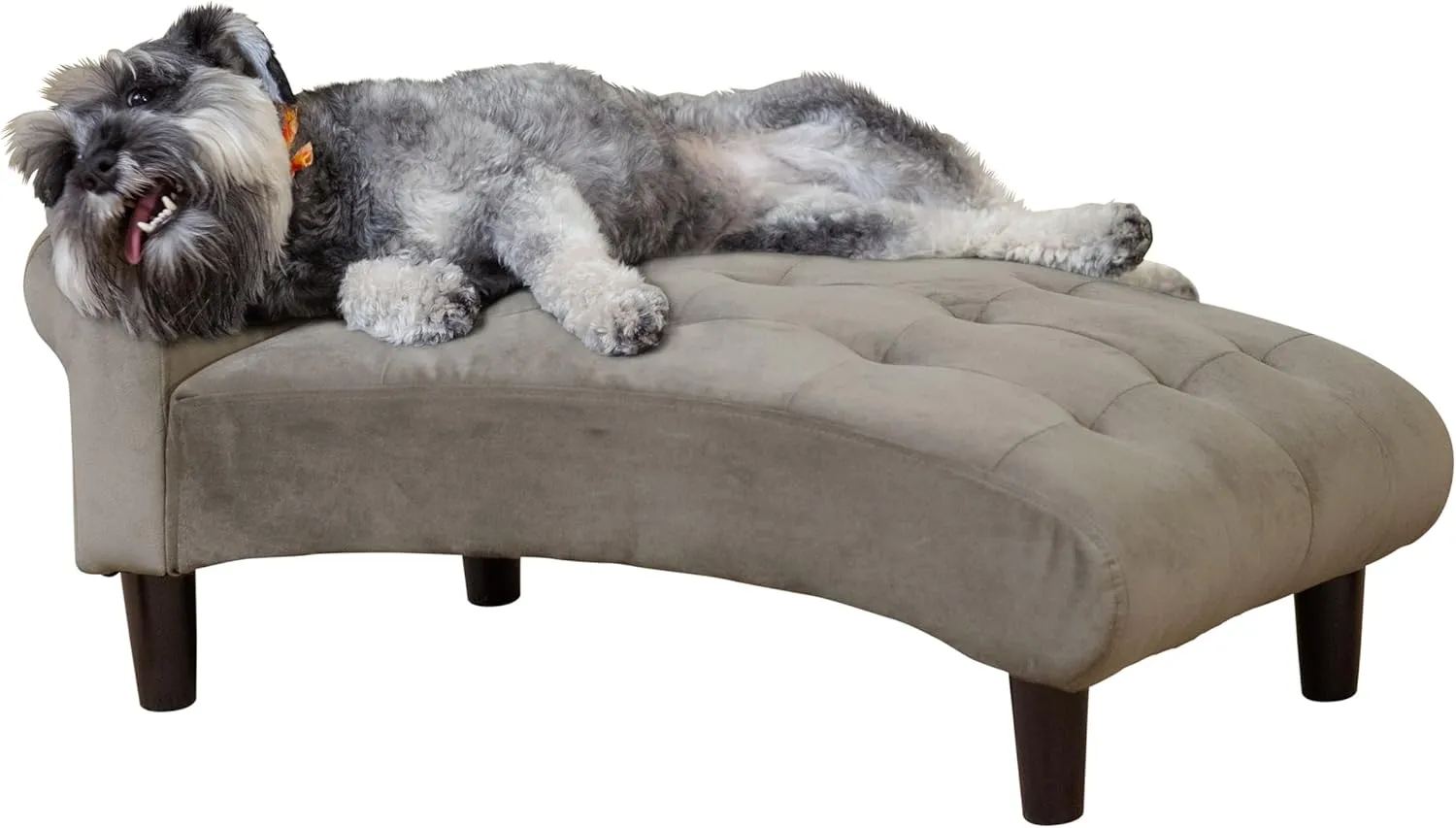 Paws & Purrs Modern 21" Pet Chaise Lounge Sofa for Small to Medium Dogs & Cats  Stylish Durable Dog Couch - Easy to Clean Bed- Ash
