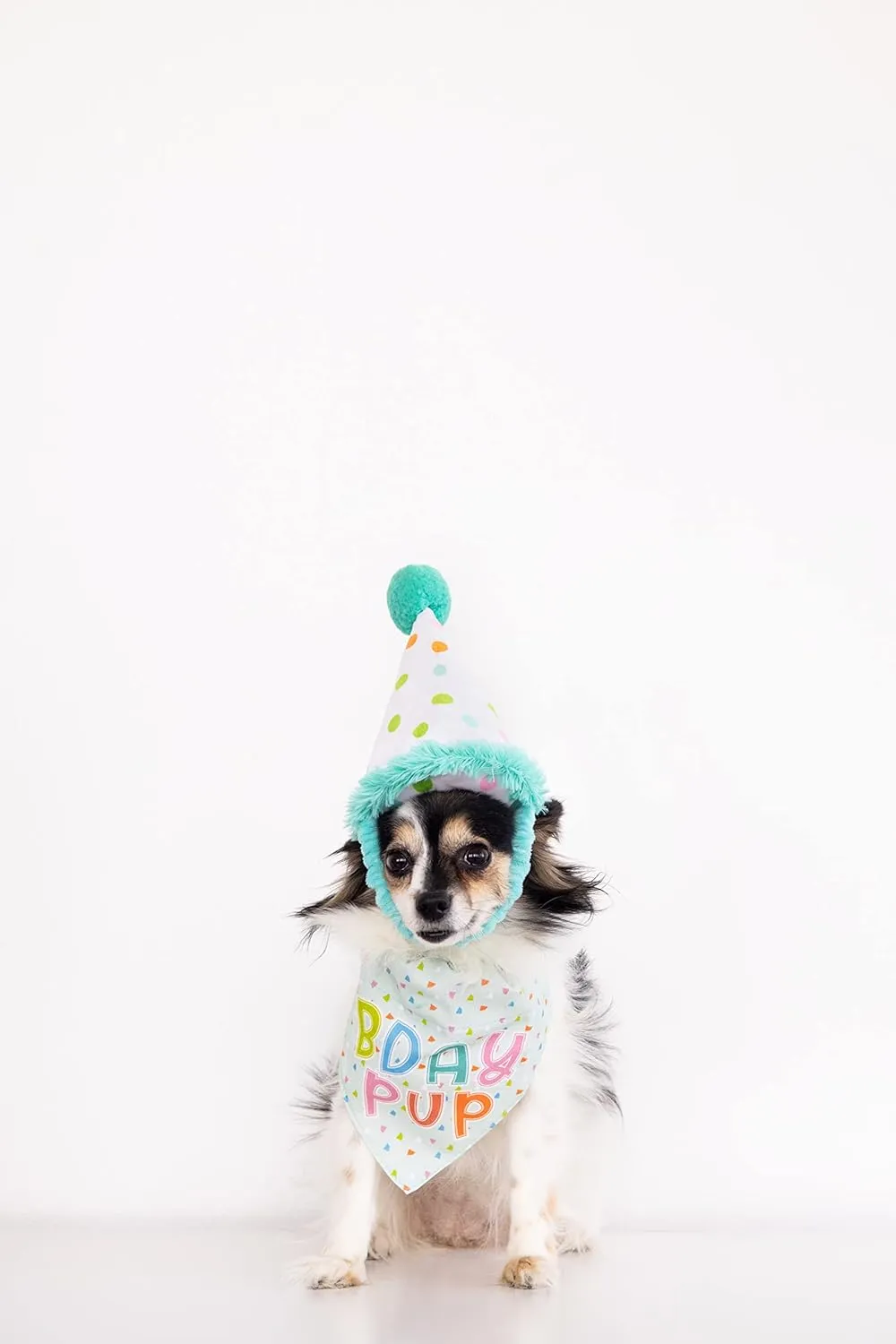 Pearhead Pet Happy Barkday Bandana and Party Hat Birthday Set for Dogs, Small/Medium