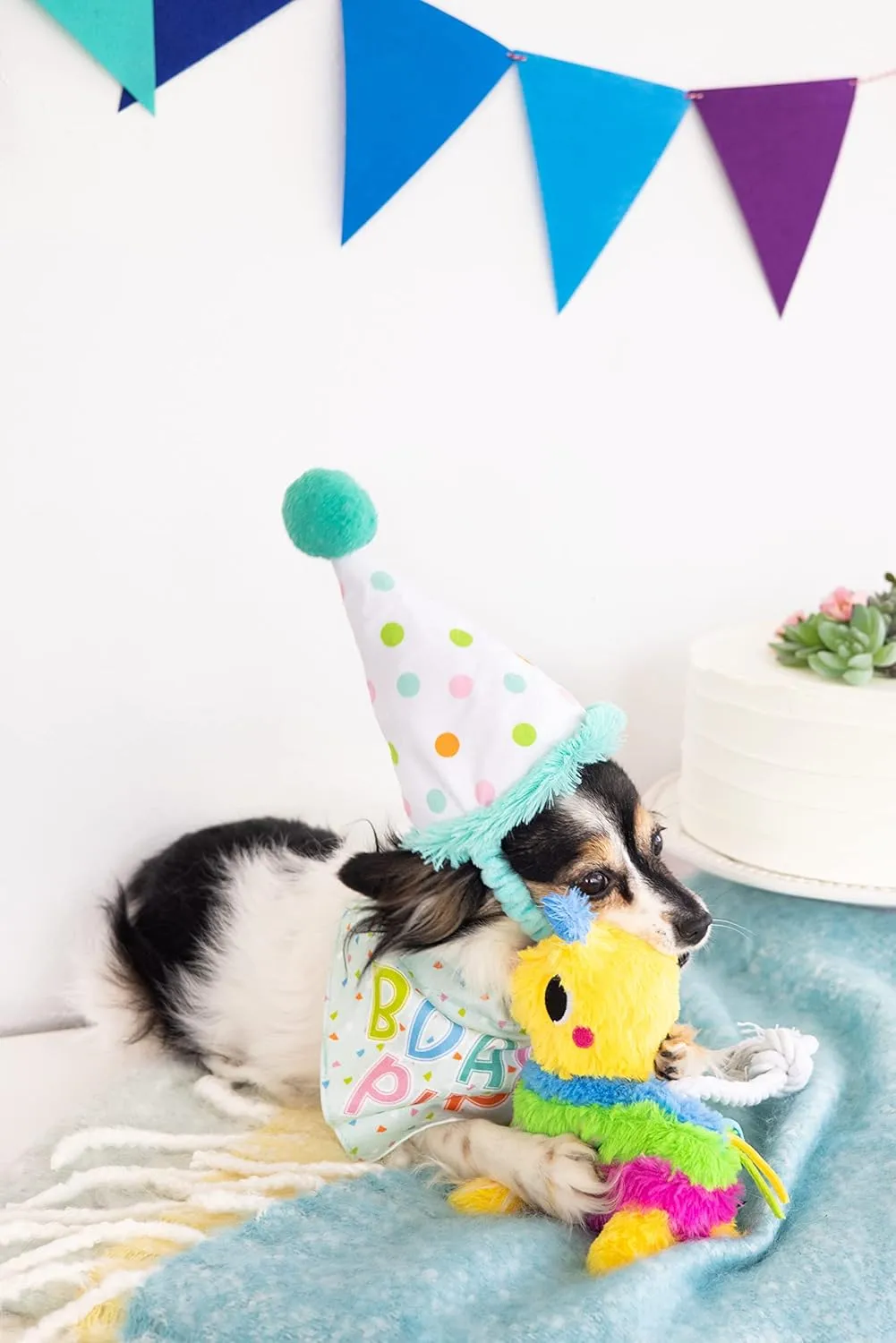 Pearhead Pet Happy Barkday Bandana and Party Hat Birthday Set for Dogs, Small/Medium