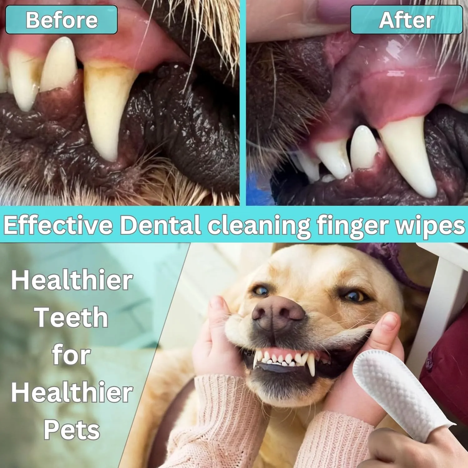 Pet Dental Care Finger Wipes for Dogs & Cats  Dog Teeth Cleaning Wipes Reduce Plaque, Freshen Breath & Support Gum Health  Disposable Toothbrush Alternative  2-Pack, 100 PCS