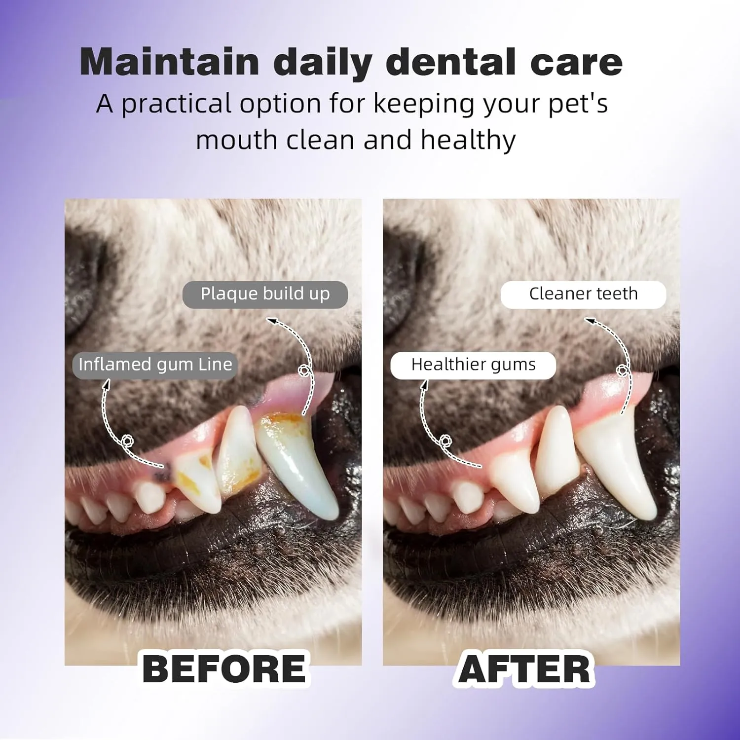 Pet Dental Finger Wipes for Dogs & Cats - Dog & Cat Finger Toothbrush - Remove Plaque & Tartar - Freshens Breath - Dog Teeth Cleaning Wipes (1.77" Wide (120 Count), Coconut)