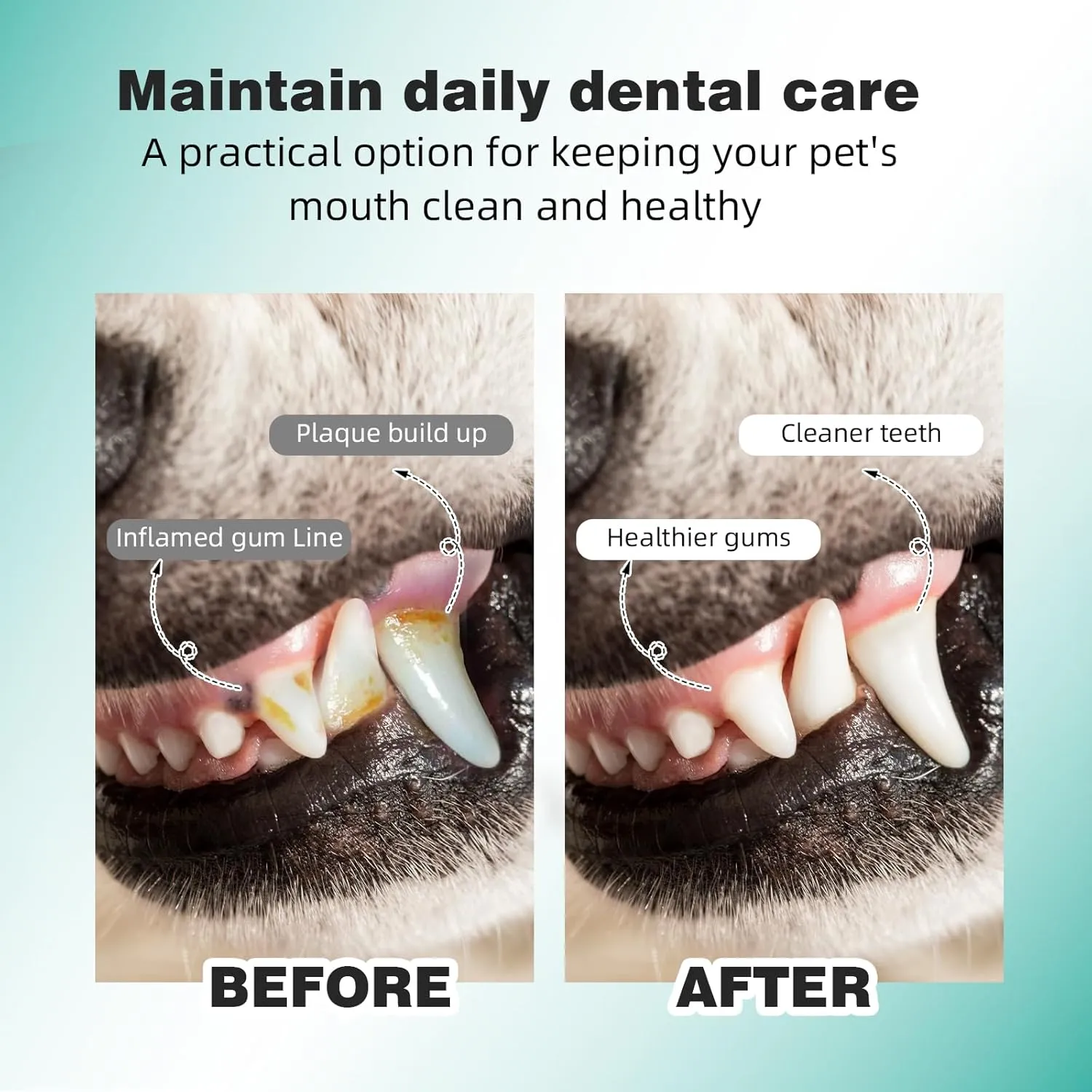 Pet Dental Finger Wipes for Dogs & Cats - Dog & Cat Finger Toothbrush - Remove Plaque & Tartar - Freshens Breath - Dog Teeth Cleaning Wipes(1.77" Wide (60 Count), Unscented)