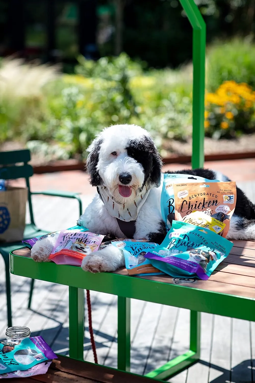 Pet Jerky Factory Premium Whole Muscle Chicken 5 oz. Dog Jerky Treats | 100% Human Grade | USA Made | High Protein | Grain Free | Limited Ingredients | No Filler | BHA-BHT Free | Chewy Texture