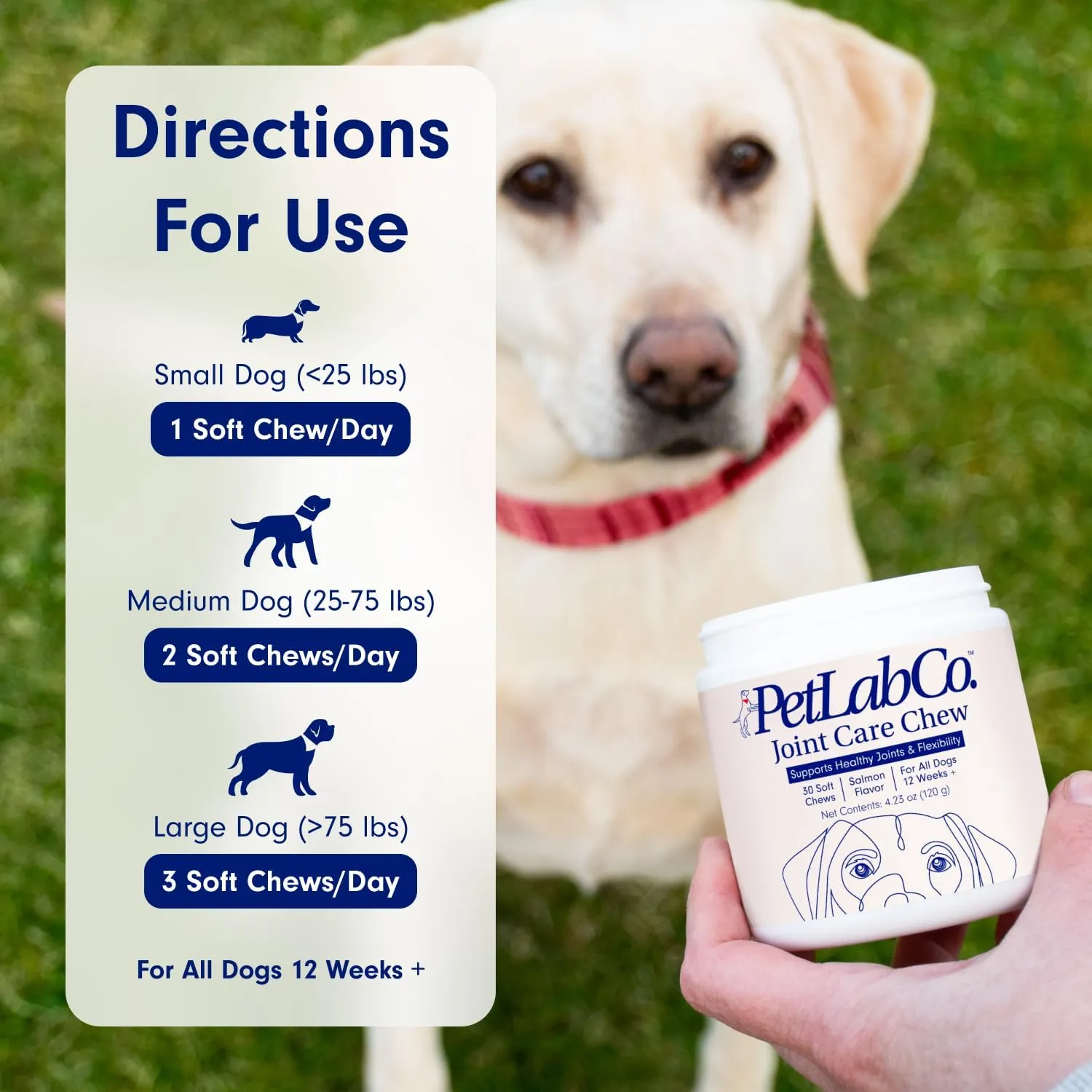 PetLab Co. Joint Care Chews - High Levels of Glucosamine for Dogs, Green Lipped Mussels, and Omega 3 - Dog Hip and Joint Supplement to Actively Support Mobility - Salmon