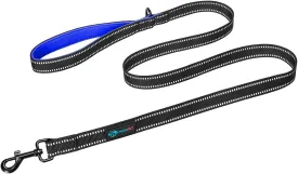 PHOEPET 5 Feet Dog Leash - Dual-Side Reflective - Soft Padded Handle - Fit for Walking, Training or Exploring Hiking, Camping (L, Royal Blue)