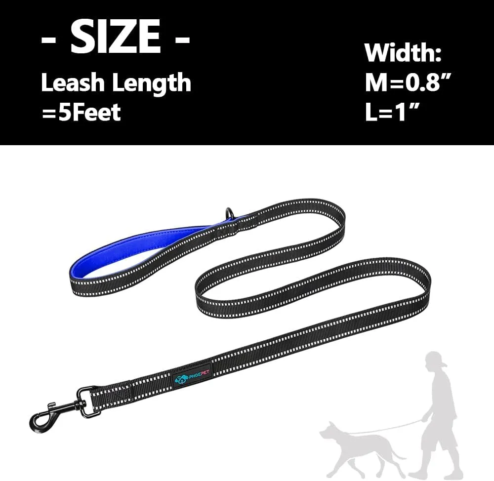 PHOEPET 5 Feet Dog Leash - Dual-Side Reflective - Soft Padded Handle - Fit for Walking, Training or Exploring Hiking, Camping (L, Royal Blue)