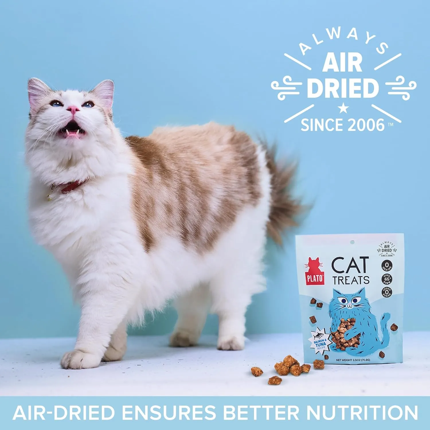 PLATO Pet Treats Cat Treats - Single Ingredient, Healthy Salmon Treats for Indoor Cats - 2.5 oz