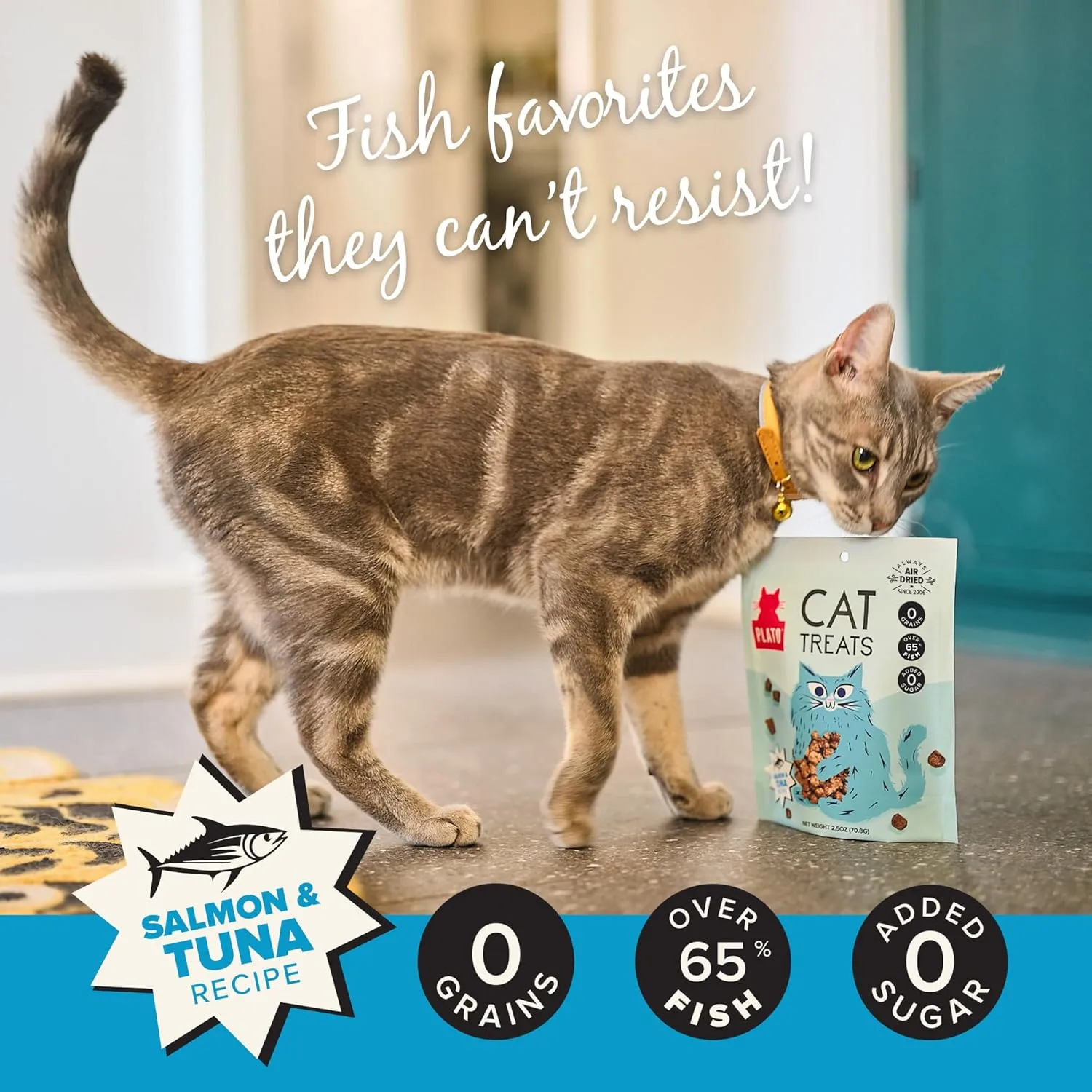 PLATO Pet Treats Cat Treats - Single Ingredient, Healthy Salmon Treats for Indoor Cats - 2.5 oz