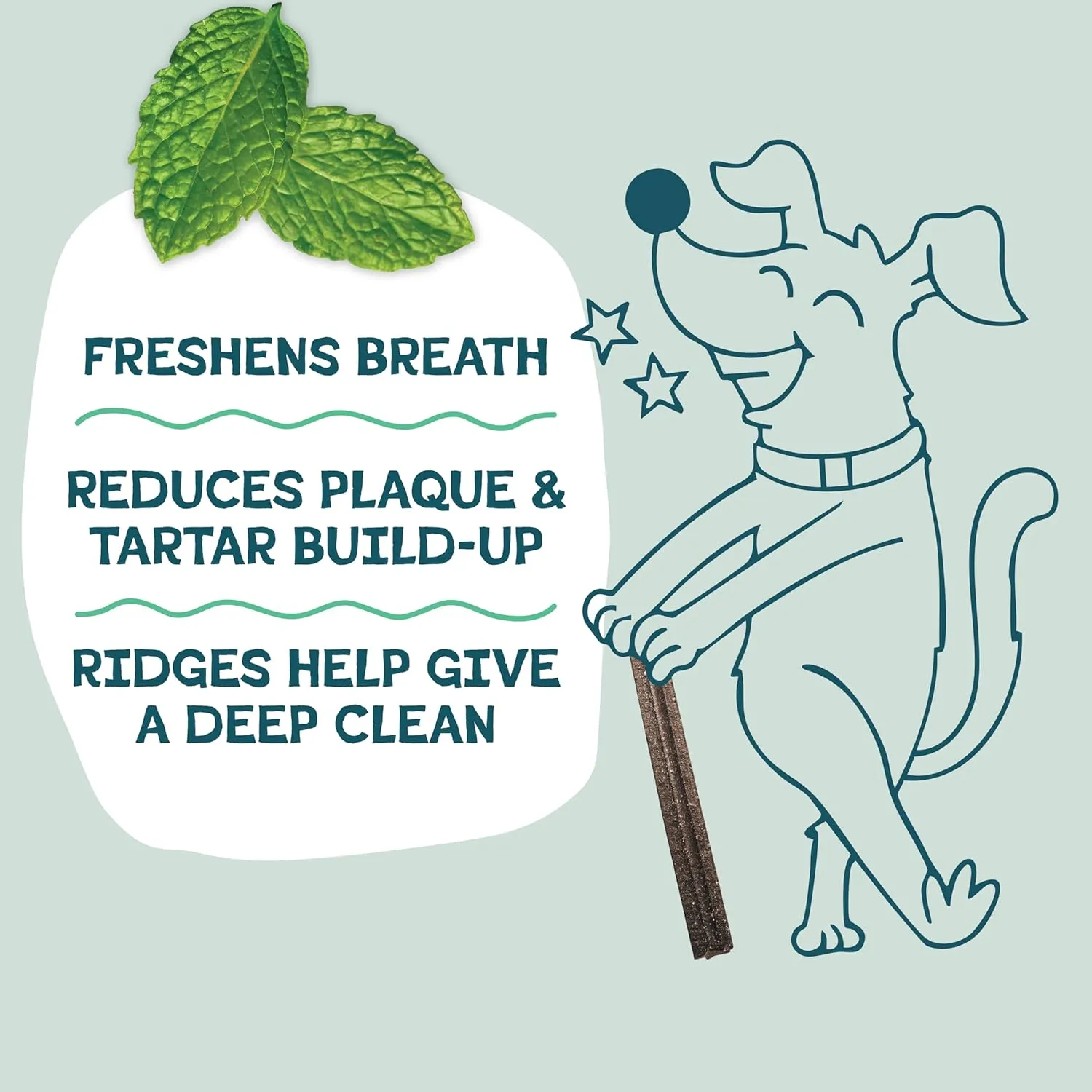 Shameless Pets Toothberry Dental Chews for Dogs  Natural Dog Dental Sticks for Fresh Breath, Teeth Cleaning & Removes Tartar, Grain-Free Dog Treats, No Corn or Soy, 32 Sticks