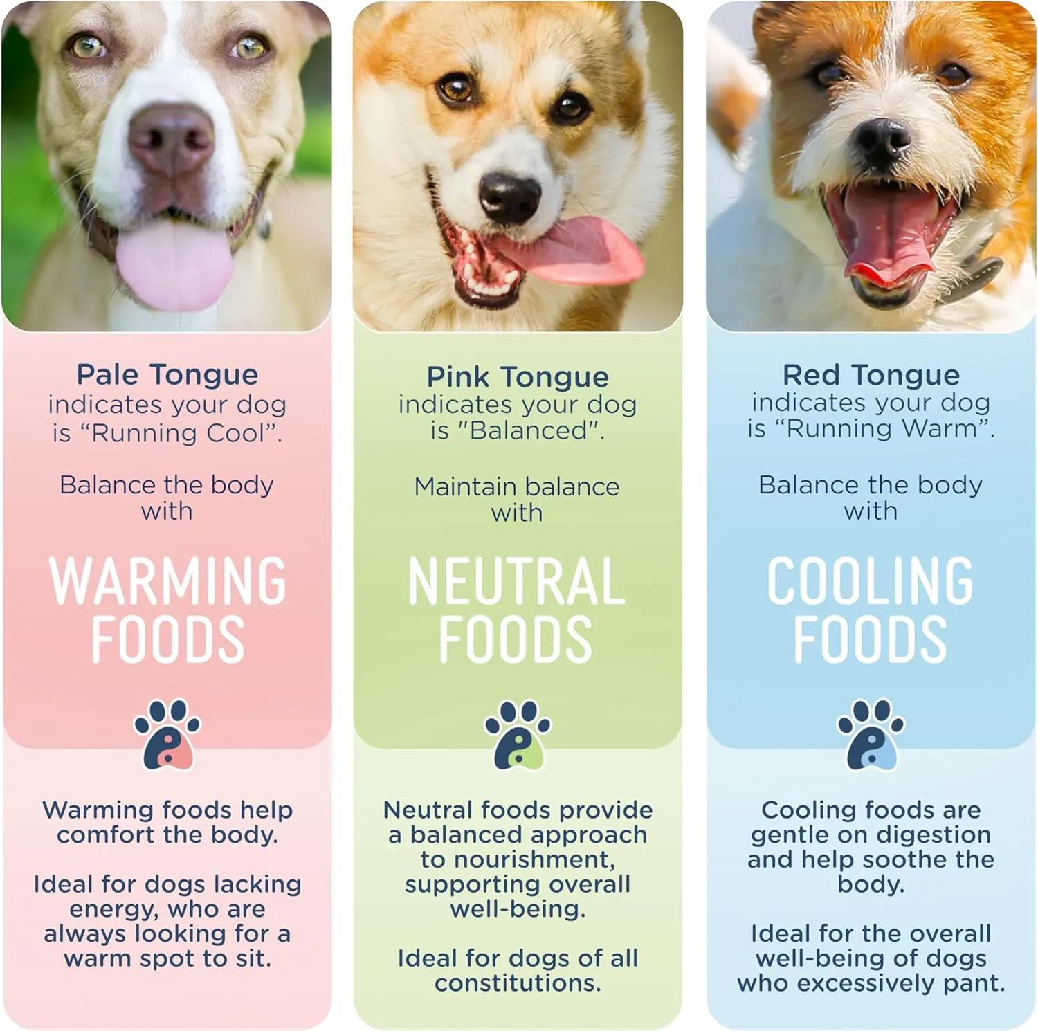 Side by Side Duck Bowl Booster, Freeze-Dried Raw Superfood, Cooling Dog Food Topper for All Breeds, Made of Whole Foods, Every Ingredient Has a Purpose, No Artificial Additives, 4 oz, Pack of 2