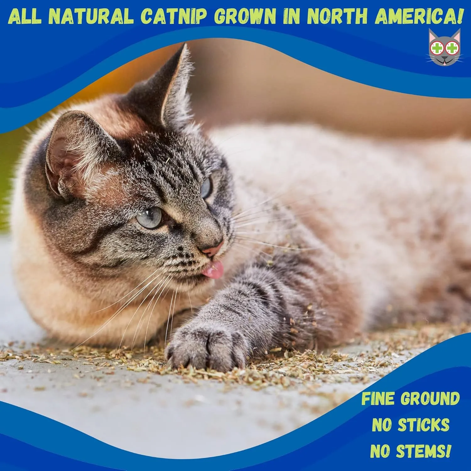 Smokey's Stash Catnip Stalkless Dried Ground Premium Bulk 12 Ounce Bag Strong Cat nip for Cats