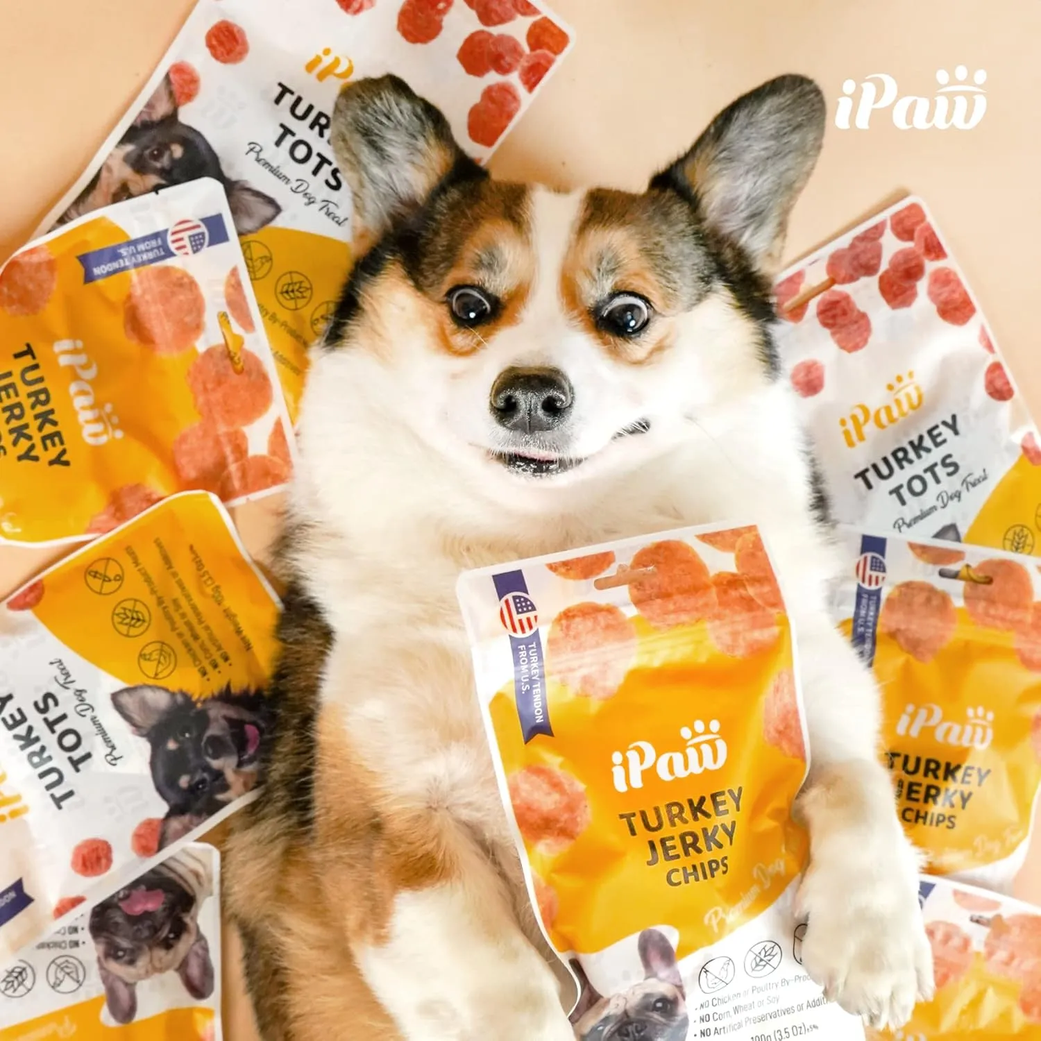 Soft Cat Treats for Indoor Cats, Healthy Kitten Snacks with Probiotics, Grain Free, Easy to Digest (Chicken and Tuna)