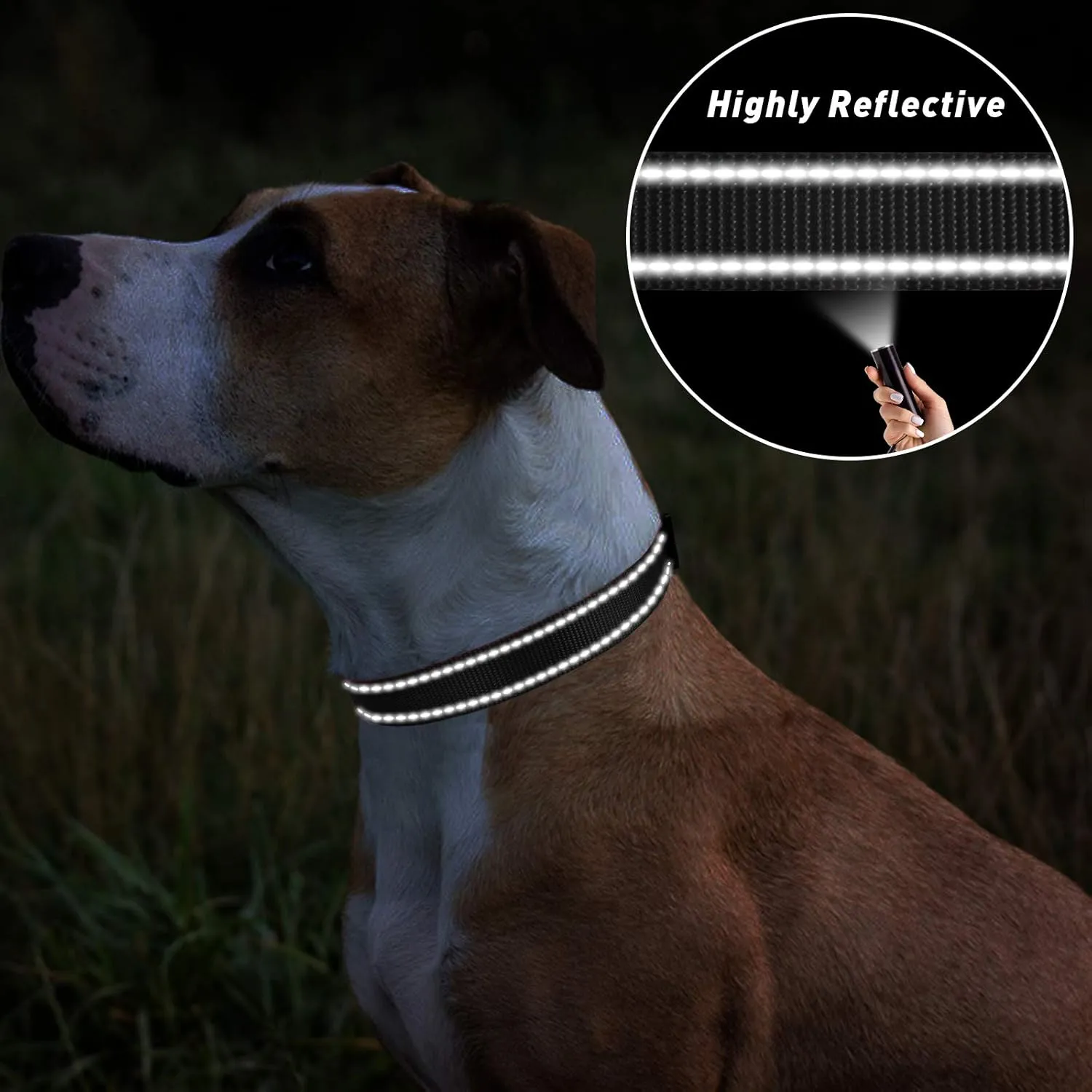 TagME Reflective Nylon Dog Collars, Adjustable Classic Pet Collar with Quick Release Buckle for Small Dogs, Black, 5/8" Width