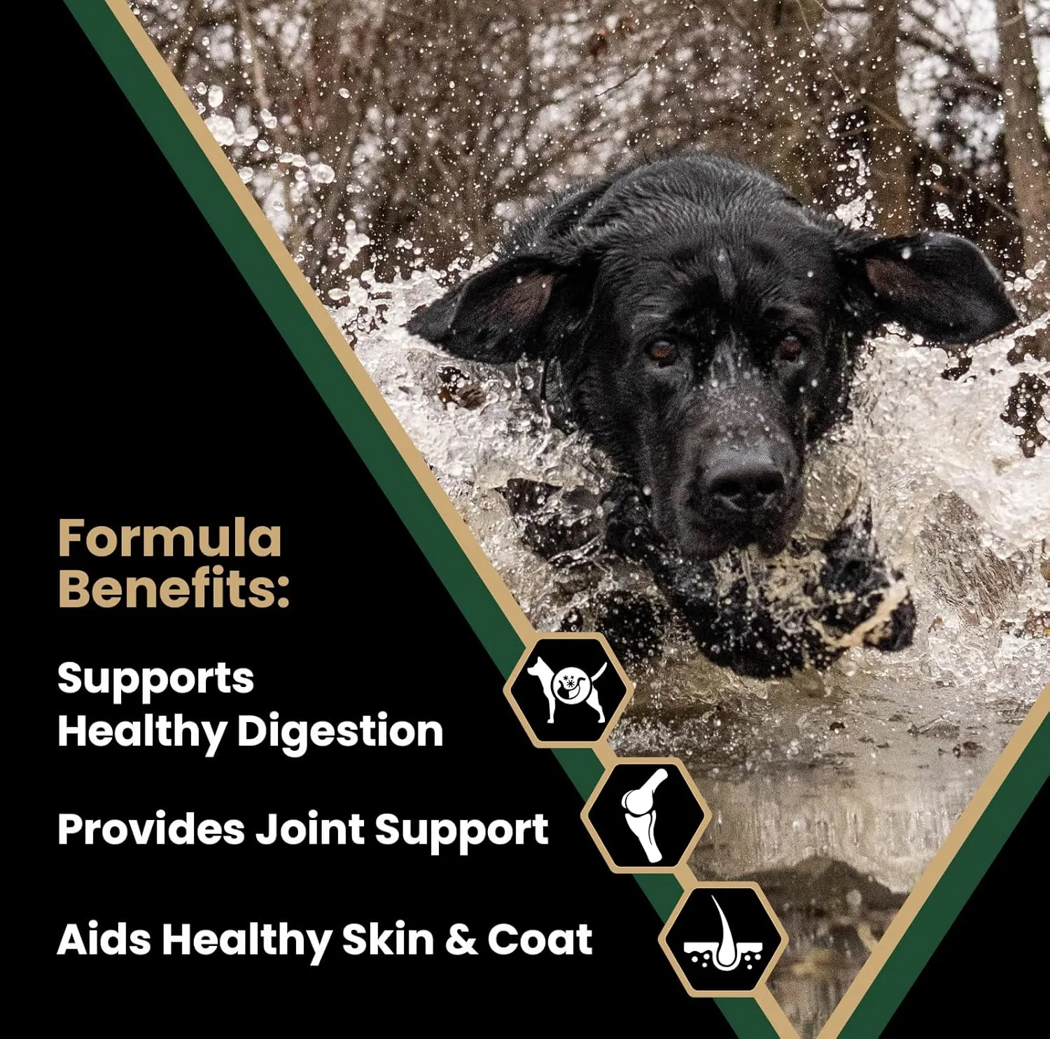 VICTOR Super Premium Dog Food  Performance Dry Dog Food from Beef, Chicken and Pork Meal  26% Protein for Active Adult Dogs  Includes Glucosamine and Chondroitin for Hip and Joint Health, 40lbs