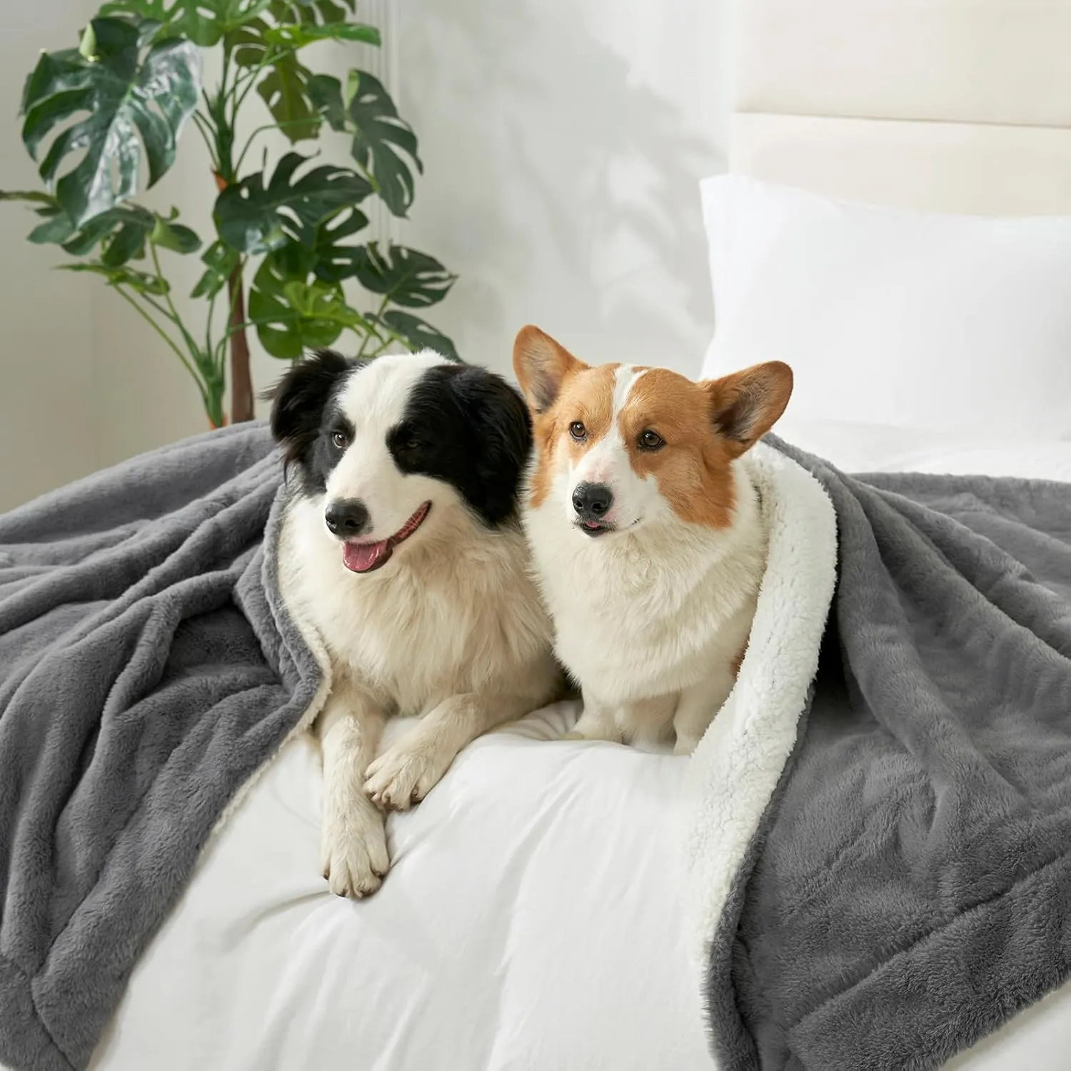 Waterproof Pet Blanket, Soft Faux Fur Dog Blanket for Woman Sofa Bed Couch Protector, Liquid Pee Proof Throw for Large Dog or Cat, Reversible Washable, Double Sided, 50x60 in, Grey
