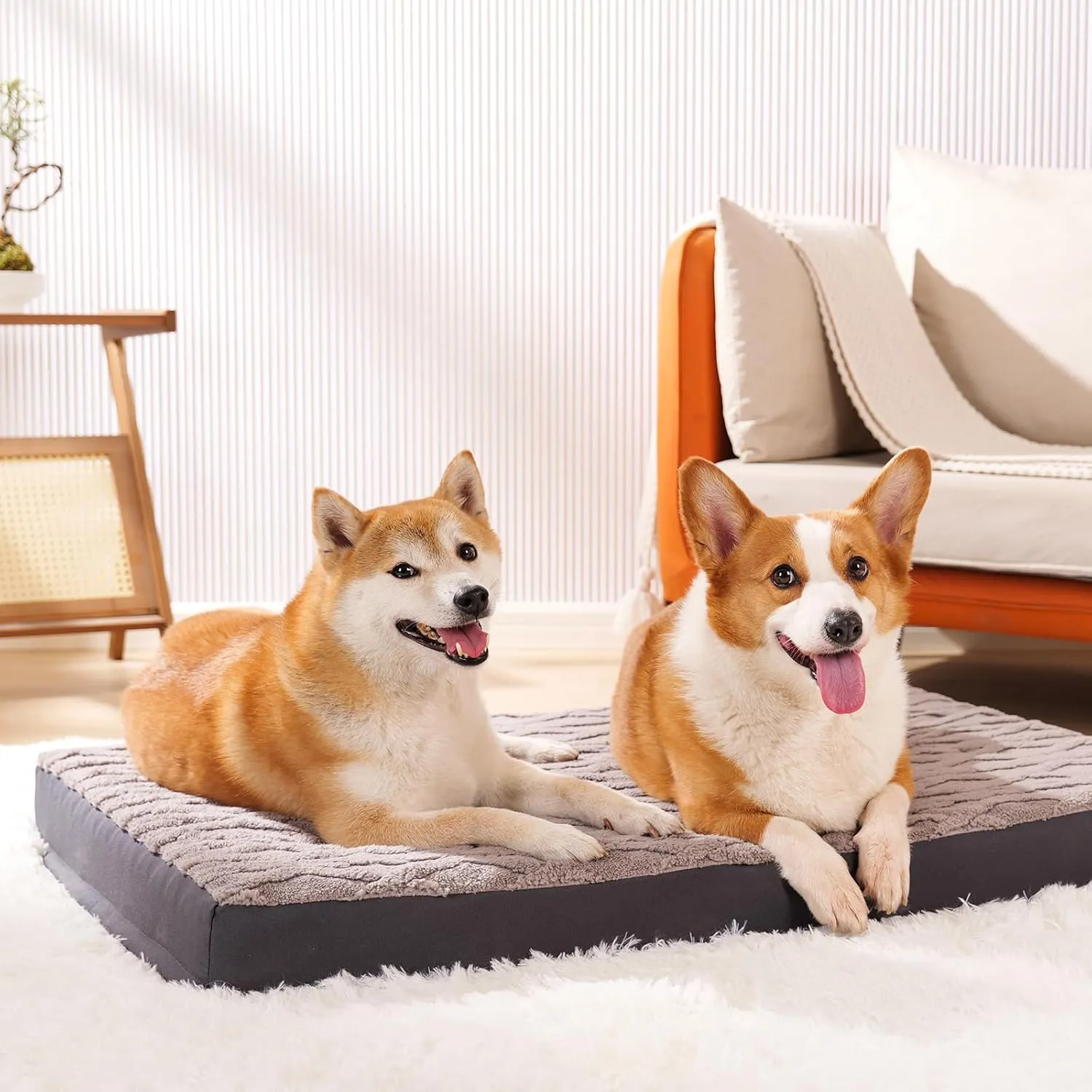 XL Dog Crate Bed - Soft Fluffy Memory Foam Dog Bed with Anti-Slip Bottom, Machine Washable Squishmallow Pet Bed for Extra Large Dogs (41"x27"x3.5", Grey)