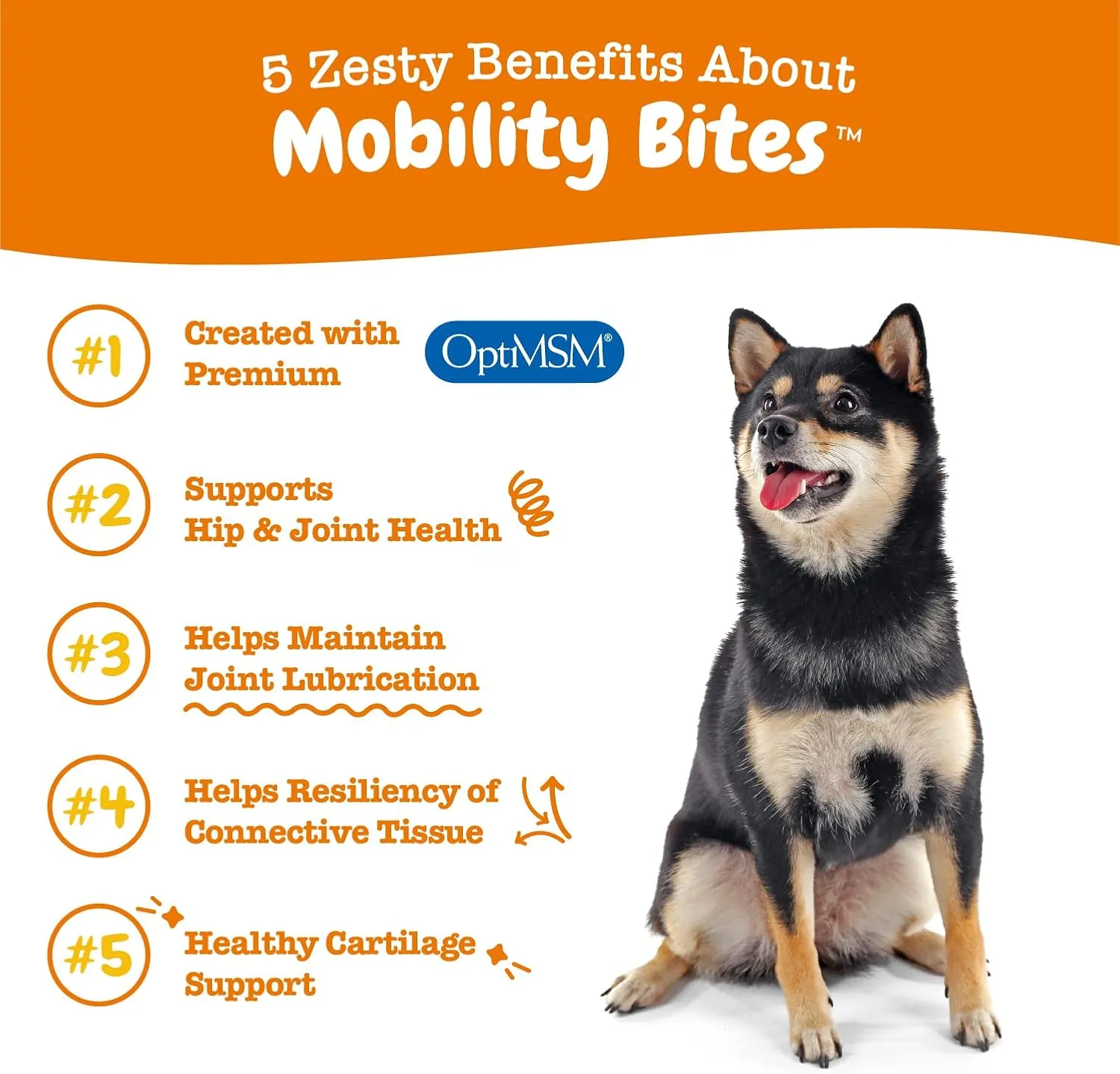Zesty Paws Hip and Joint Supplement for Dogs - Glucosamine with Chondroitin, MSM, Vitamins C and E Dog Joint Relief - Mobility Bites Duck  90 Count