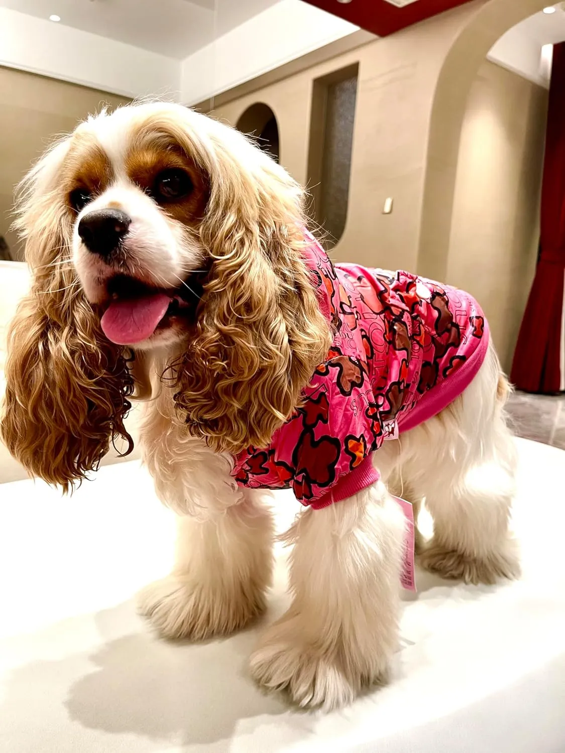 Zipper Puffer Dog Winter Coat: Warm Windproof Waterproof Dog Jacket, Zipper Puffer Cold Weather Pet Apparel with 3layers Fleece Lined for Small Dogs(Medium, Red Camouflage)
