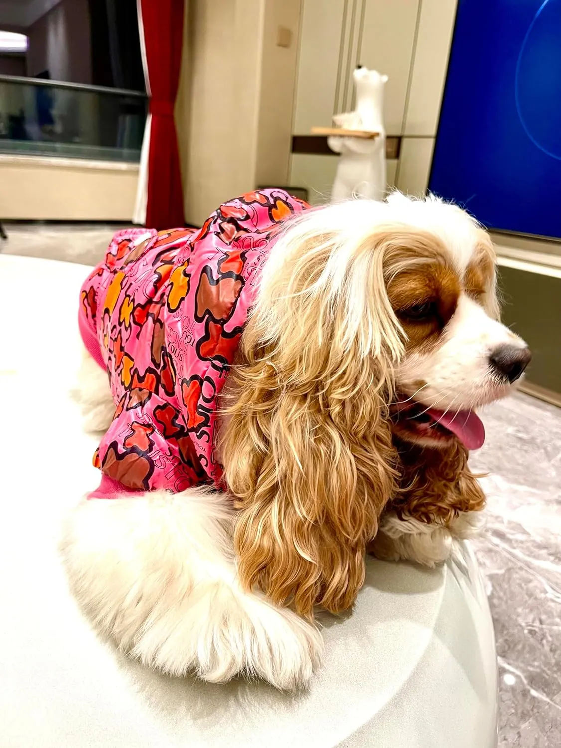 Zipper Puffer Dog Winter Coat: Warm Windproof Waterproof Dog Jacket, Zipper Puffer Cold Weather Pet Apparel with 3layers Fleece Lined for Small Dogs(Medium, Red Camouflage)